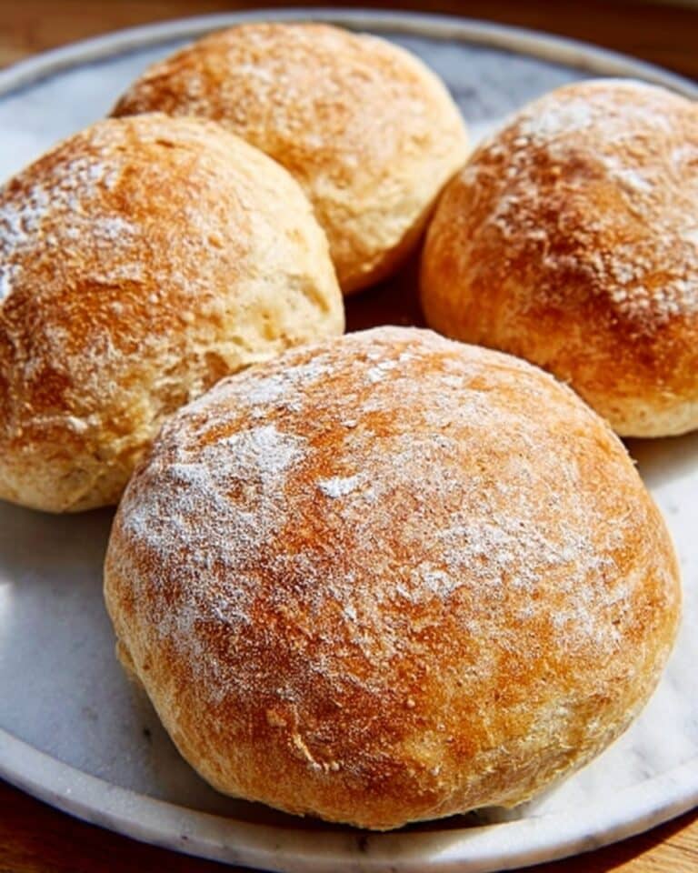 5-Ingredient No-Knead Crusty Panini Bread Recipe